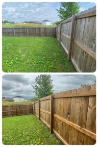 Fence Cleaning